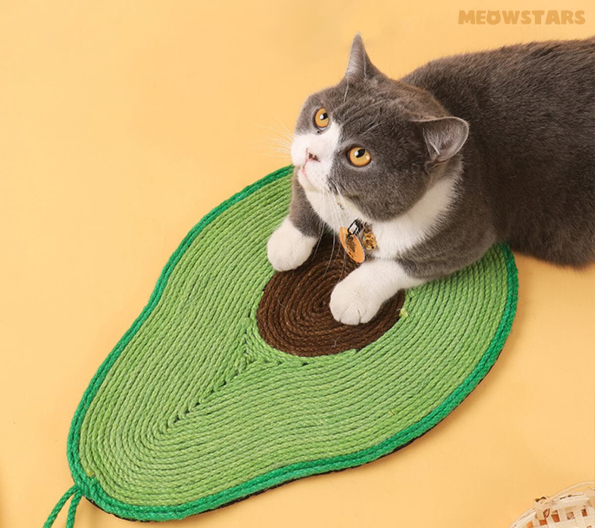 Cat Scratcher